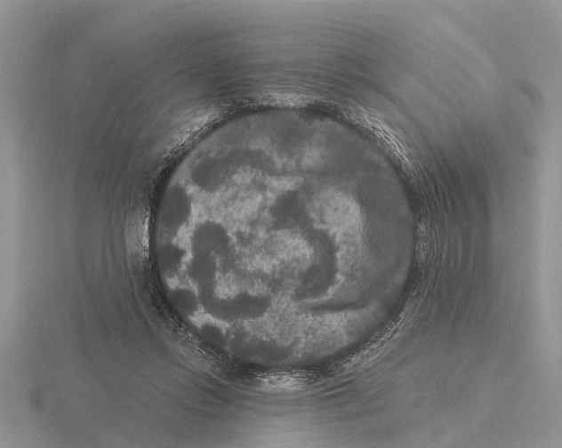 X0000115670358200912101117