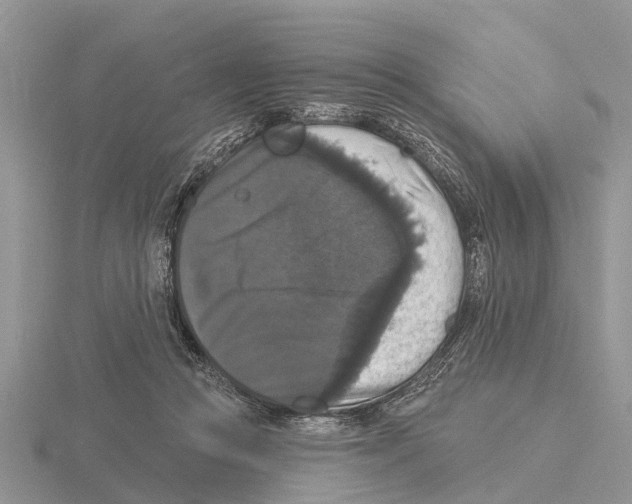 X0000115670361200912101117