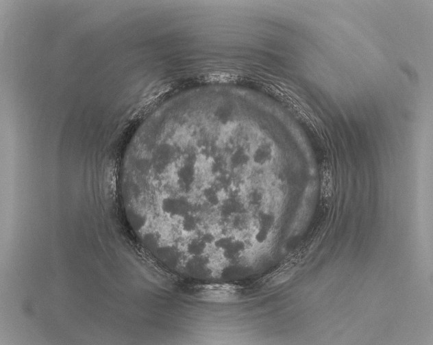 X0000115670363200912101117