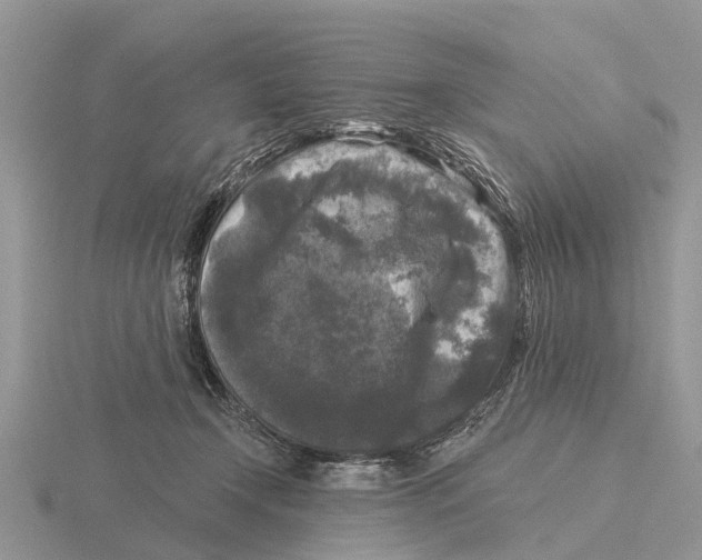 X0000115670366200912101117