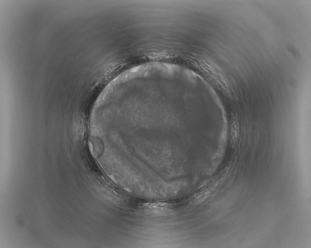 X0000115670367200912101117