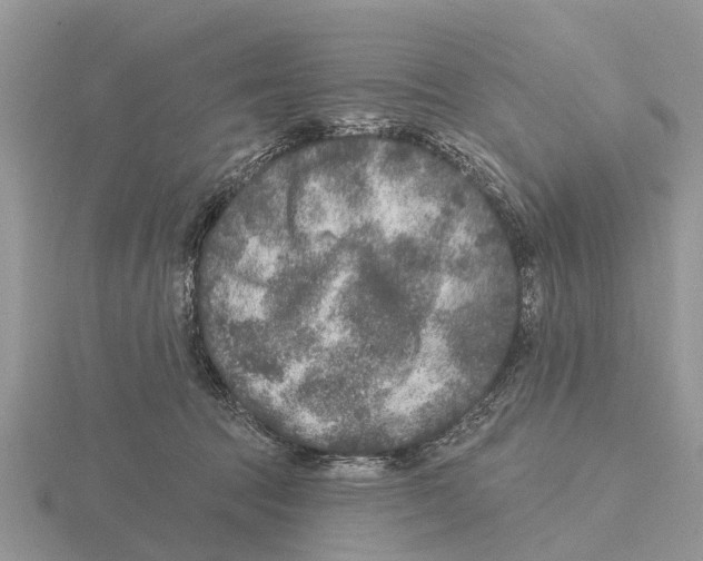 X0000115670369200912101117