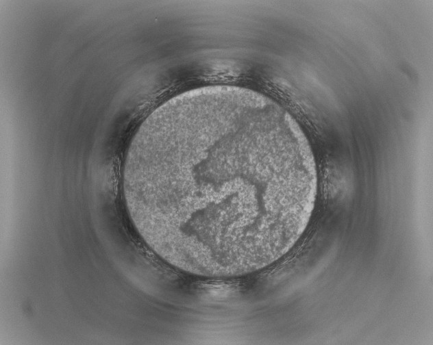 X0000115670370200912101117