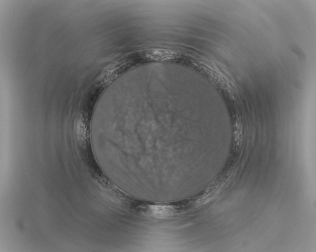 X0000115670371200912101117