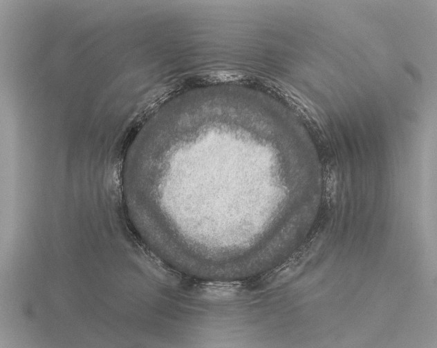 X0000115670373200912101117