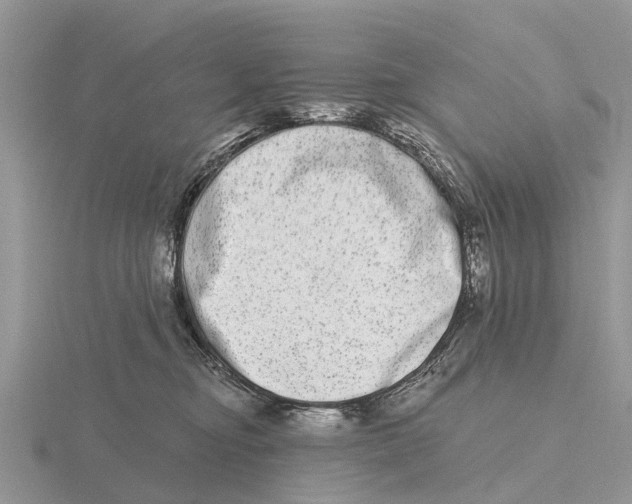 X0000115670374200912101117