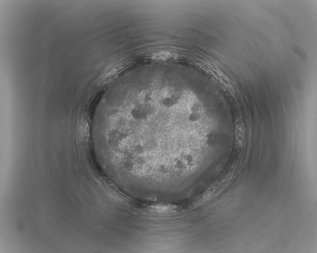 X0000115670375200912101117