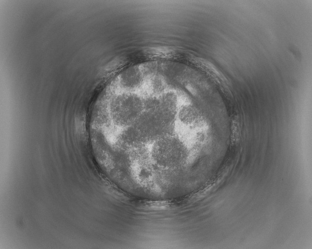 X0000115670377200912101117