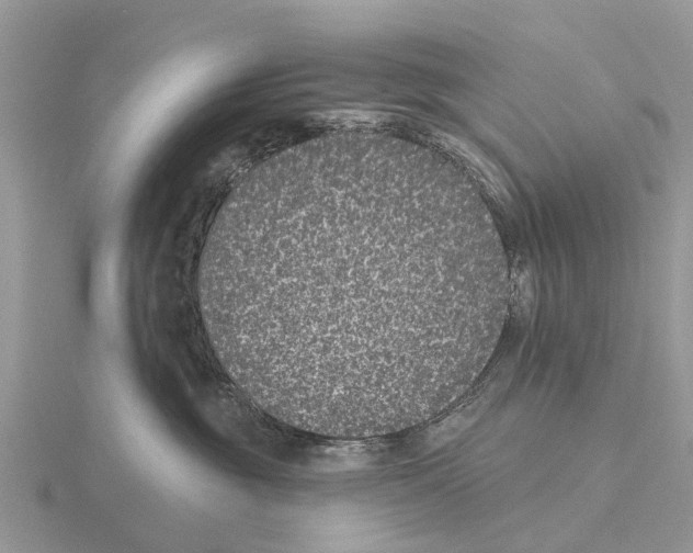 X0000115670381200912101117