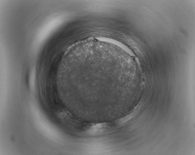 X0000115670382200912101117