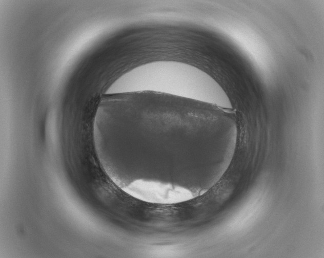 X0000115670383200912101117