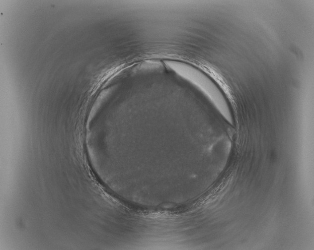 X0000115670385200912101117