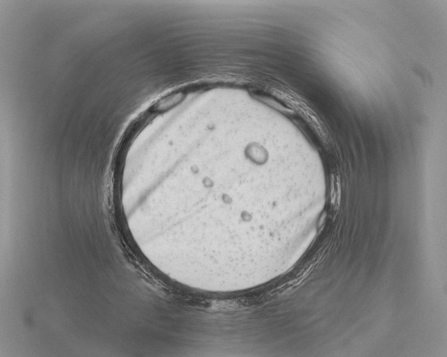 X0000115670388200912101117