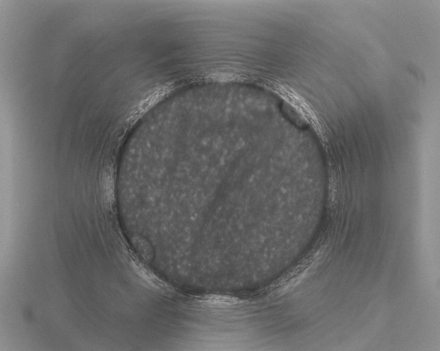 X0000115670393200912101117