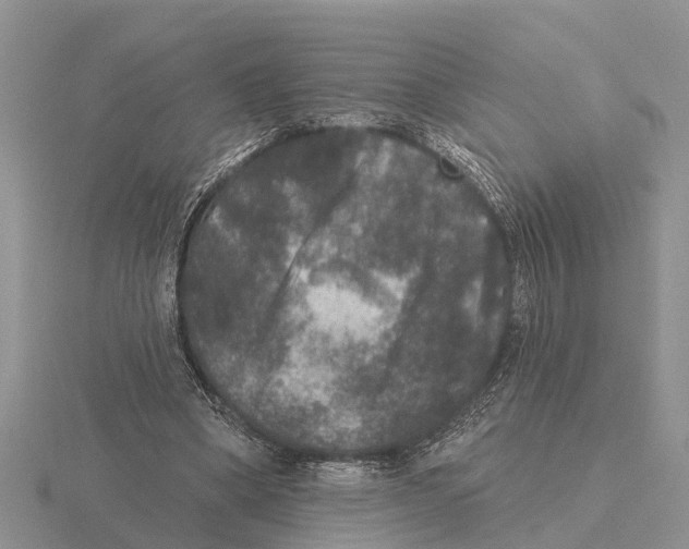 X0000115670394200912101117