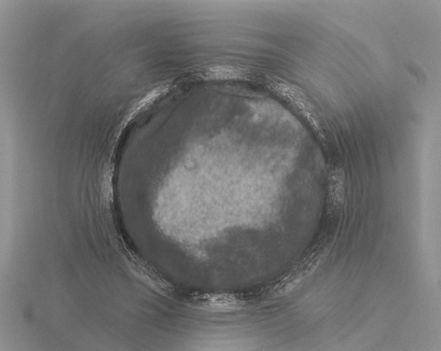 X0000115670395200912101117