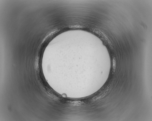 X0000115670396200912101117