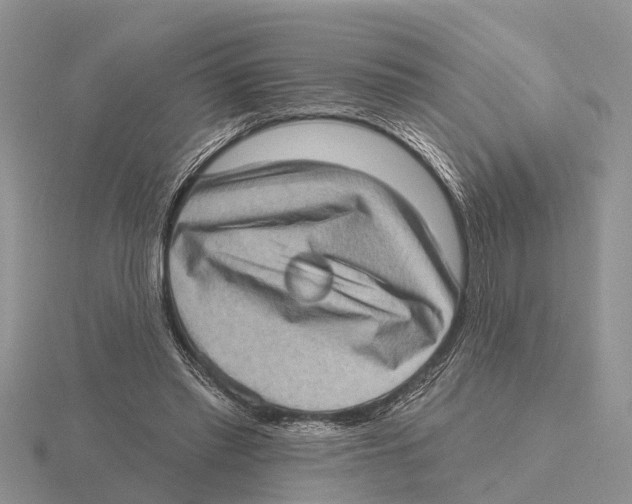 X0000115670397200912101117