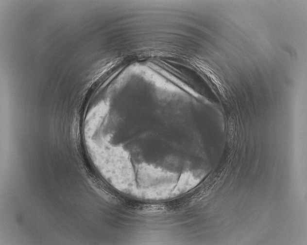 X0000115670398200912101117