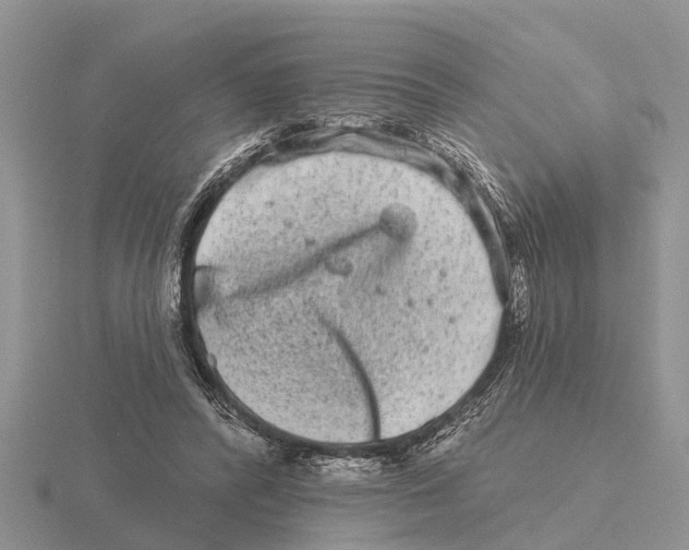 X0000115670400200912101117