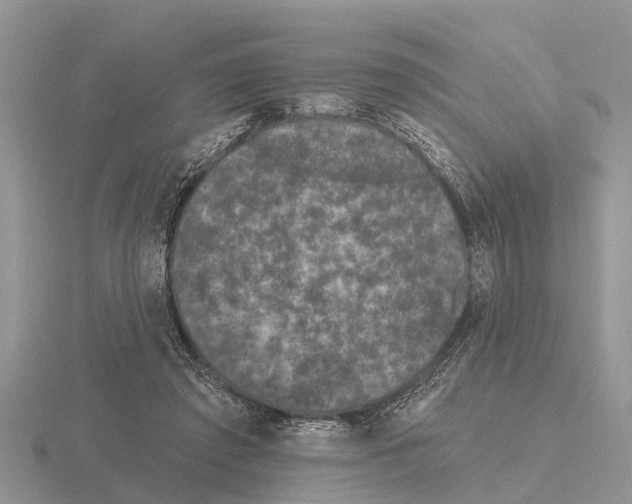 X0000115670401200912101117