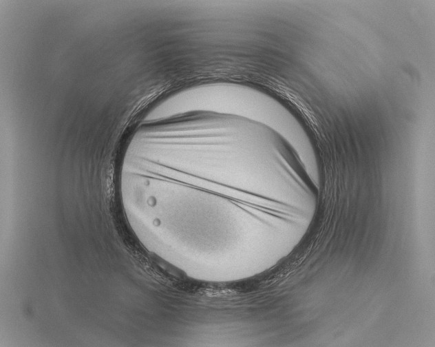 X0000115670403200912101117