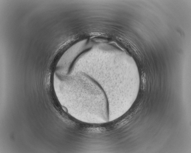 X0000115670404200912101117