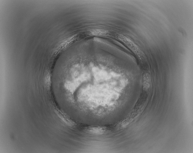 X0000115670405200912101116