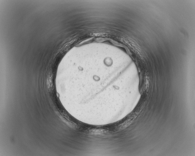 X0000115670408200912101116