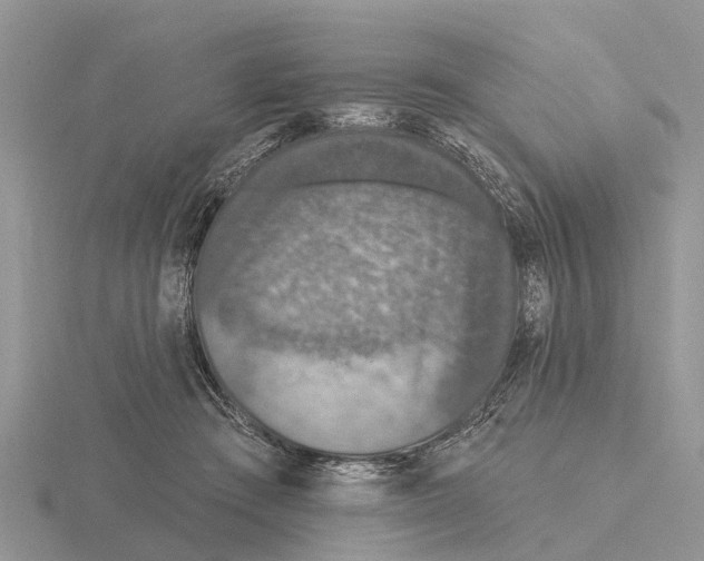 X0000115670409200912101116