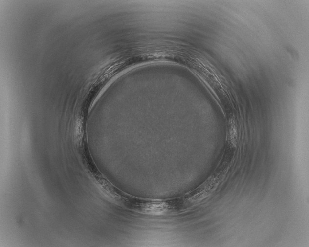 X0000115670410200912101116