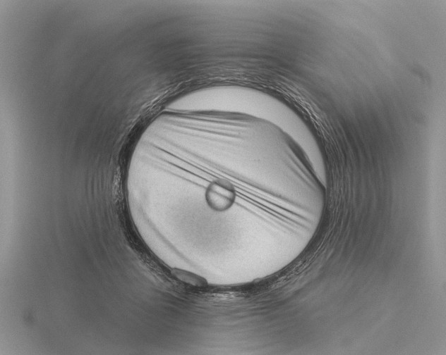 X0000115670411200912101116