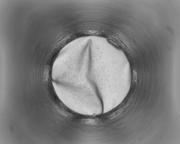 X0000115670412200912101116