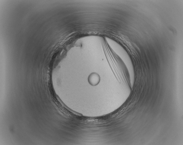 X0000115670413200912101116