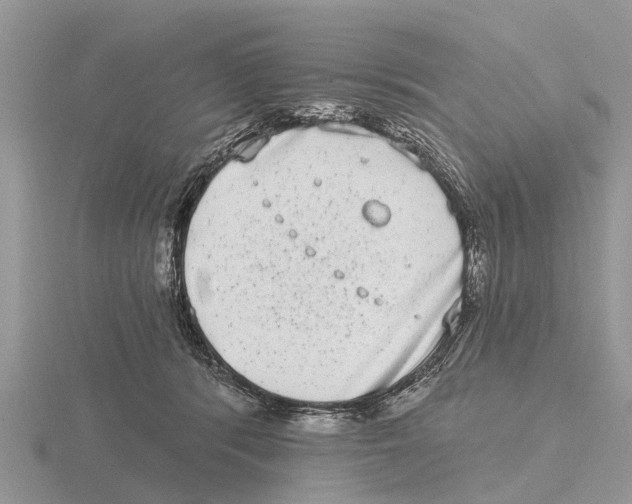 X0000115670416200912101116