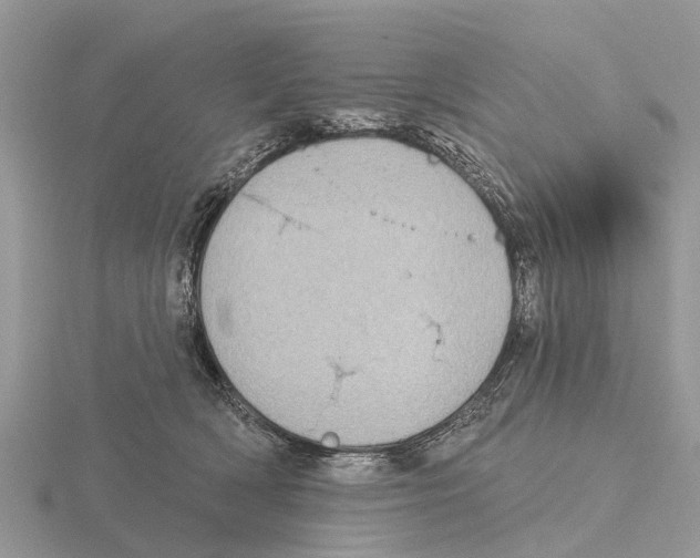 X0000115670418200912101116