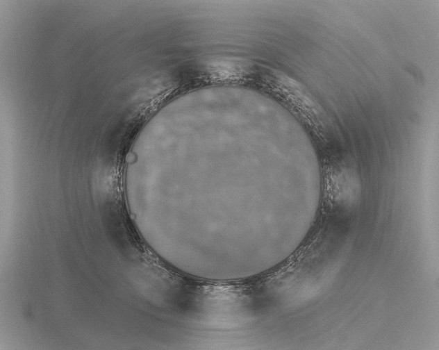 X0000115670419200912101116