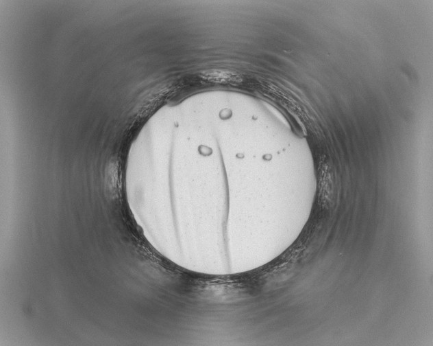 X0000115670420200912101116