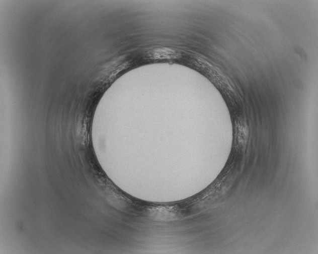 X0000115670422200912101116