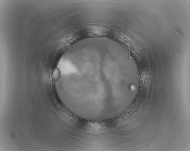 X0000115670423200912101116