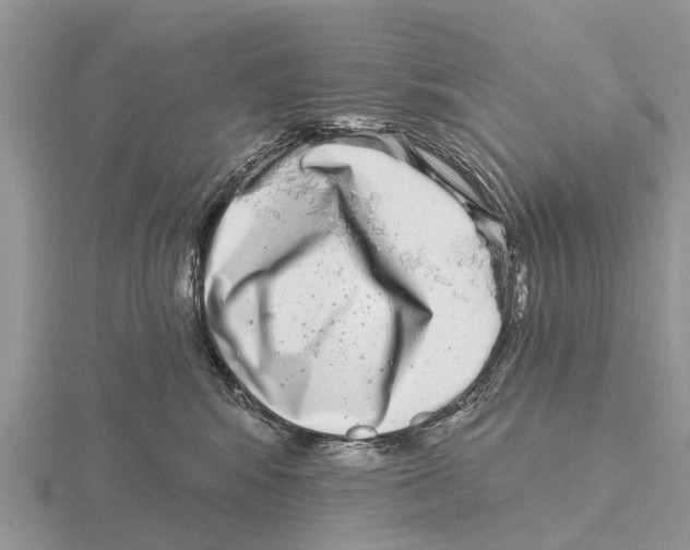 X0000115670424200912101116