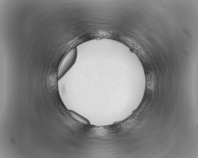 X0000115670425200912101116