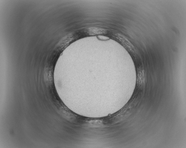 X0000115670426200912101116