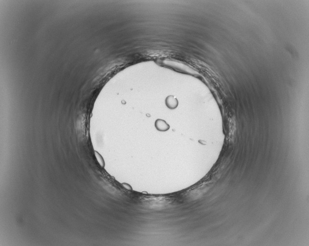 X0000115670428200912101116