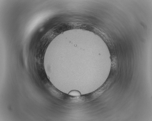 X0000115670430200912101116