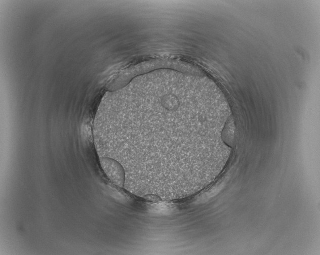 X0000115670432200912101116