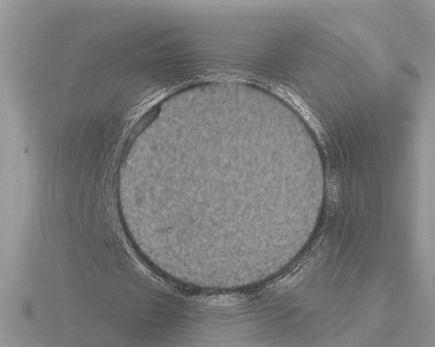 X0000115670433200912101116