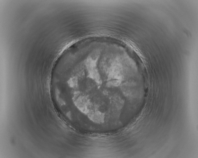 X0000115670434200912101116