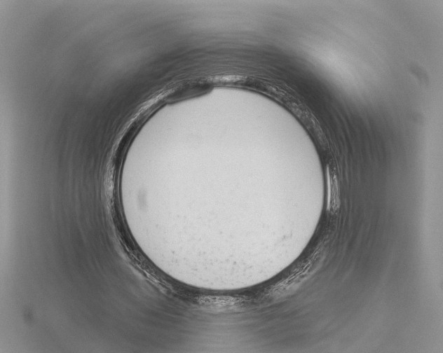 X0000115670435200912101116