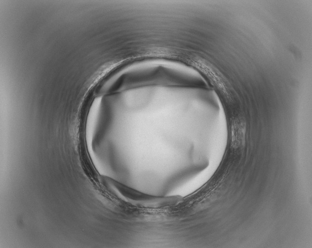 X0000115670436200912101116